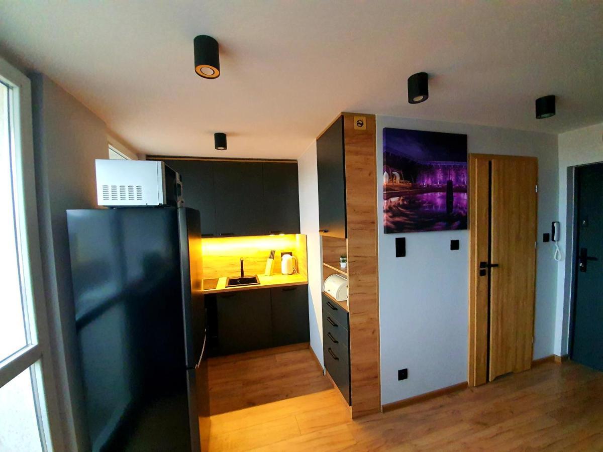 Apartament Przy Alei Kopernika Inowrocław Εξωτερικό φωτογραφία
