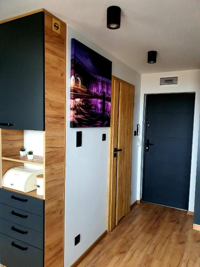 Apartament Przy Alei Kopernika Inowrocław Εξωτερικό φωτογραφία