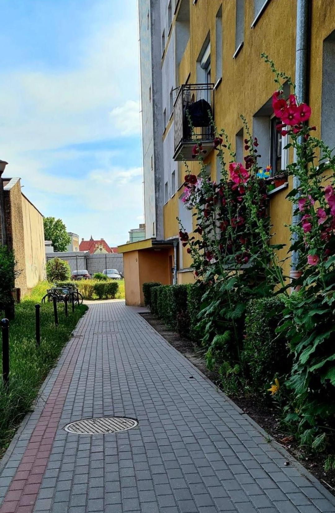 Apartament Przy Alei Kopernika Inowrocław Εξωτερικό φωτογραφία